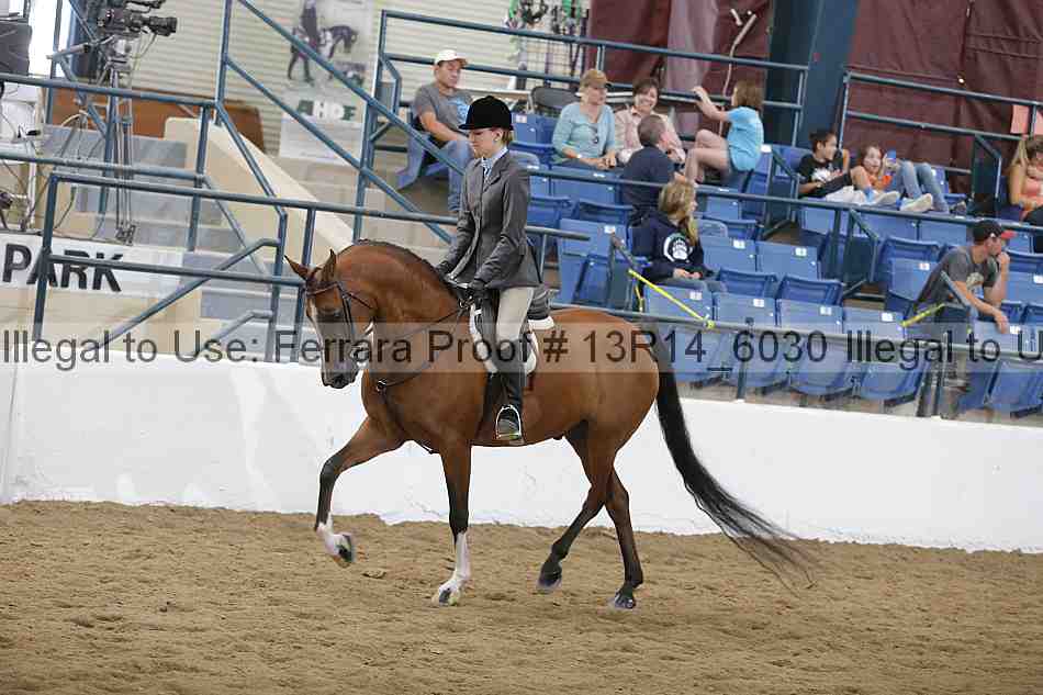 Proof 13r14_6030