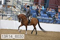 13r14_6030 proof