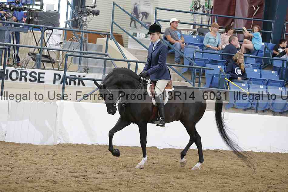 Proof 13r14_6031