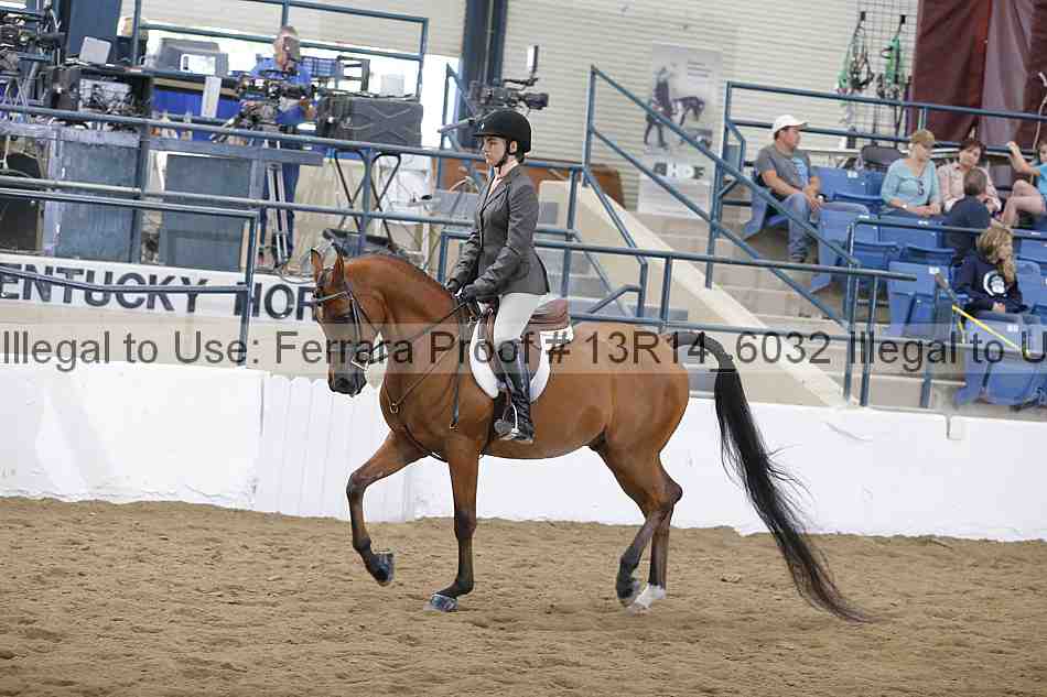 Proof 13r14_6032