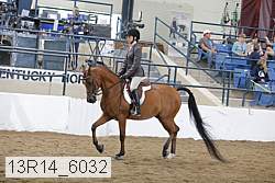 13r14_6032 proof