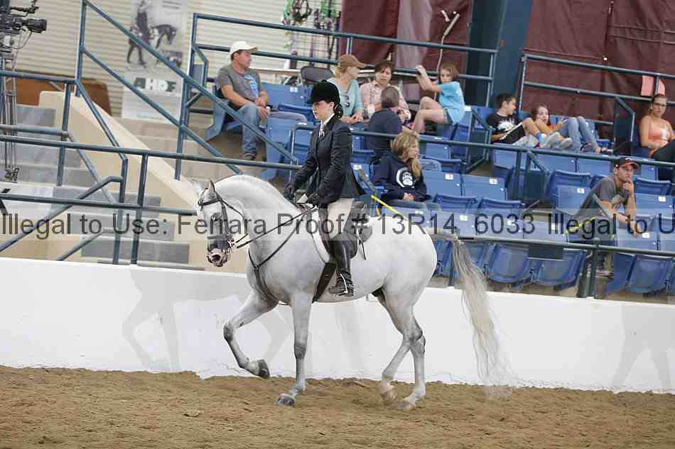 Proof 13r14_6033