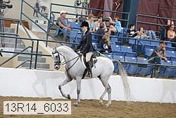 13r14_6033 proof