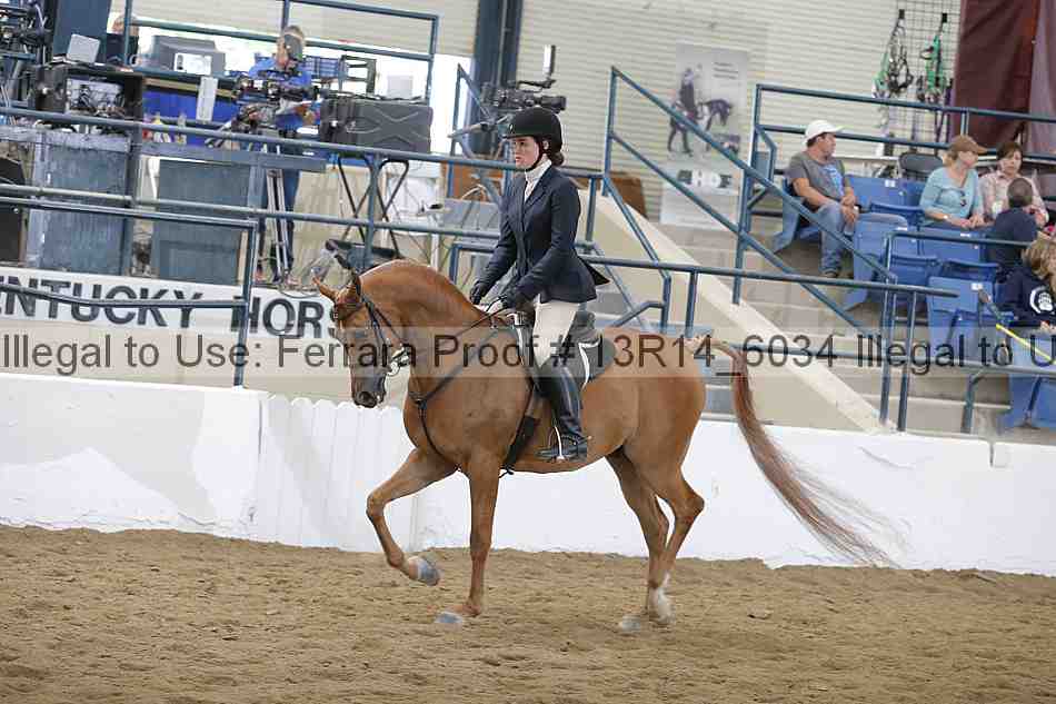 Proof 13r14_6034