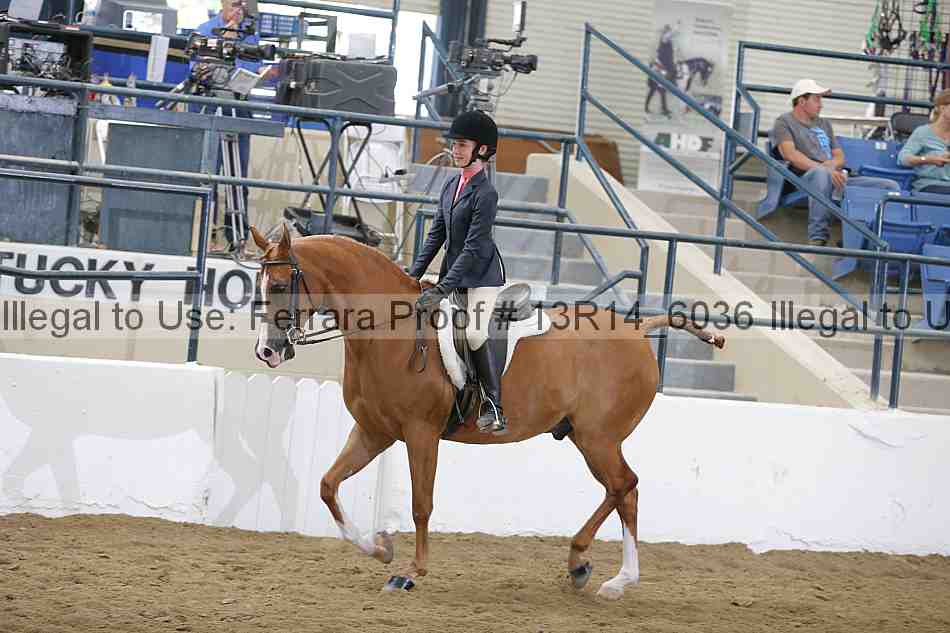 Proof 13r14_6036