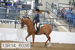13r14_6036 proof