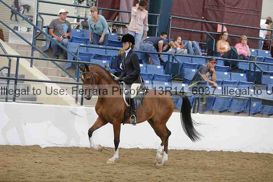Proof 13r14_6037