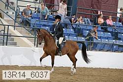 13r14_6037 proof