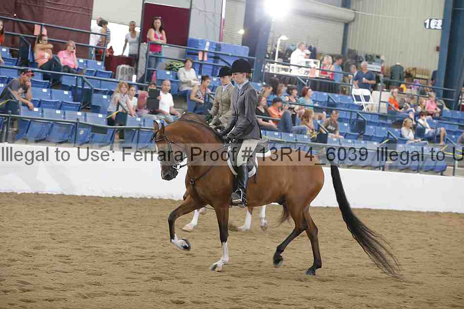 Proof 13r14_6039