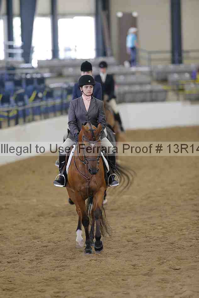 Proof 13r14_6041