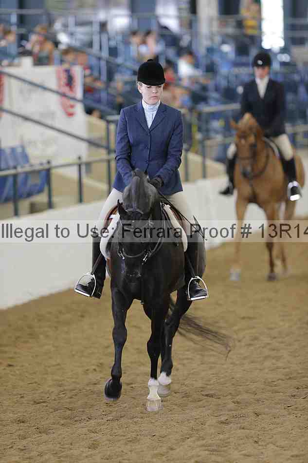 Proof 13r14_6042