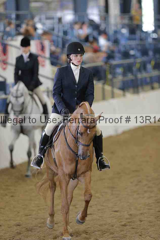 Proof 13r14_6043