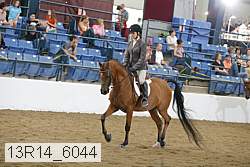13r14_6044 proof