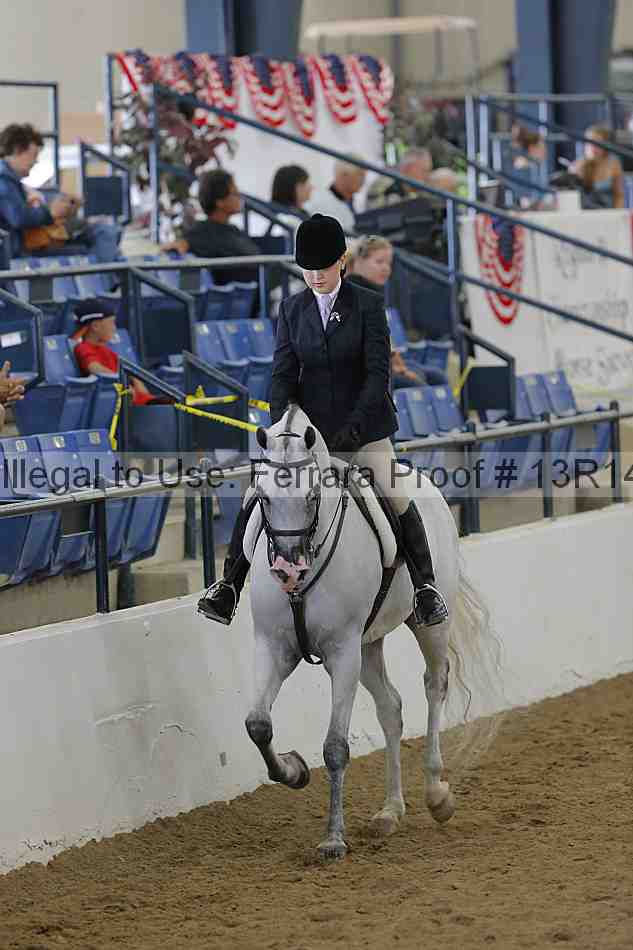 Proof 13r14_6045