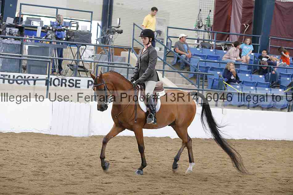 Proof 13r14_6046