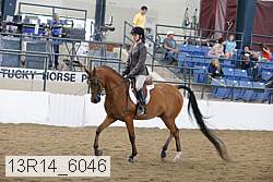 13r14_6046 proof