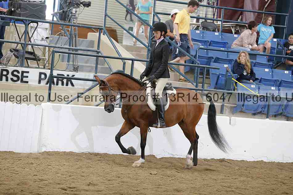 Proof 13r14_6047