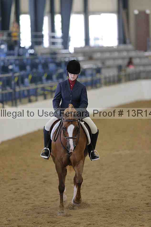 Proof 13r14_6048