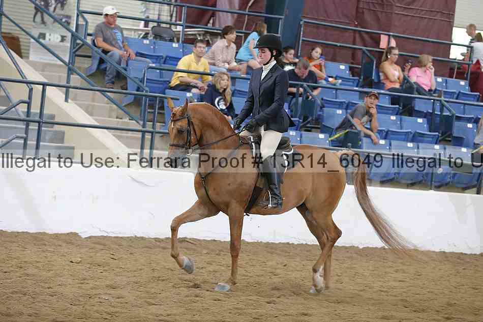 Proof 13r14_6049