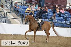 13r14_6049 proof