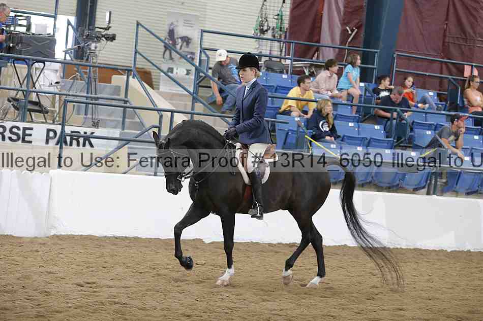 Proof 13r14_6050
