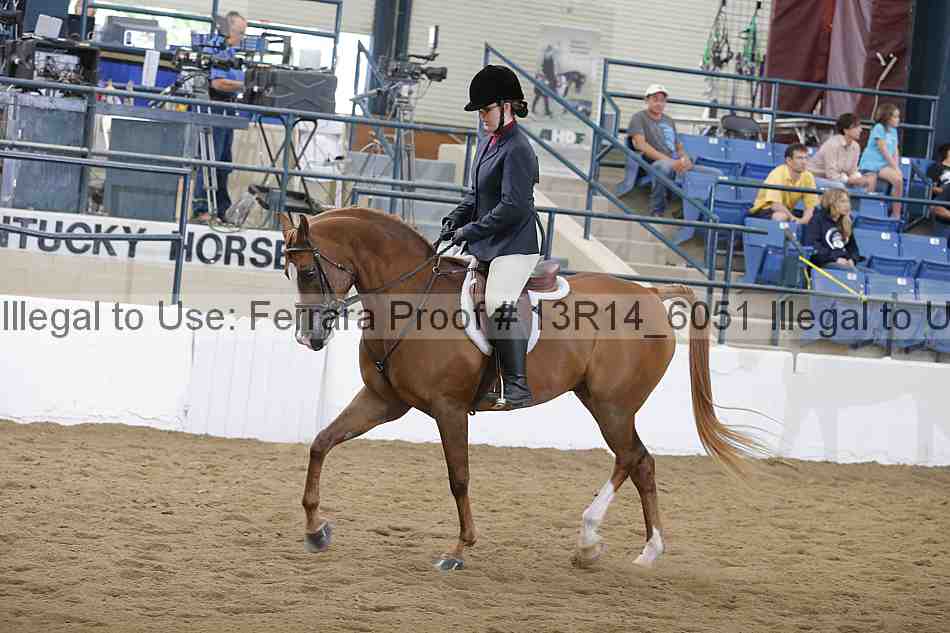 Proof 13r14_6051