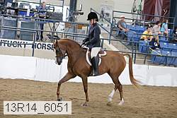 13r14_6051 proof