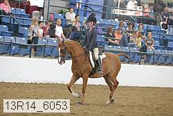 13r14_6053 proof