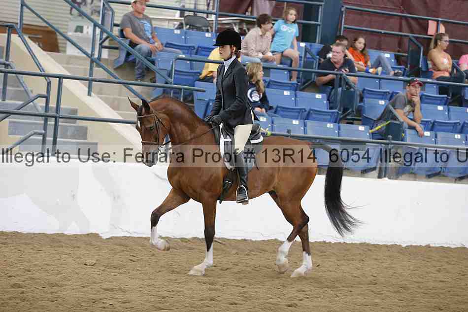 Proof 13r14_6054