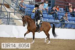 13r14_6054 proof