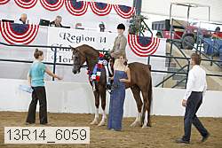 13r14_6059 proof