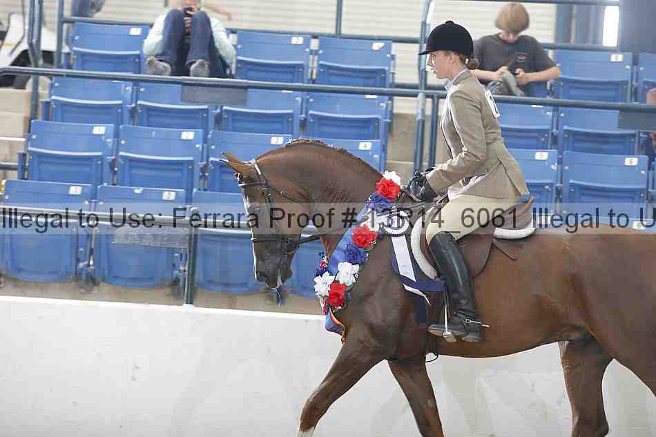 Proof 13r14_6061