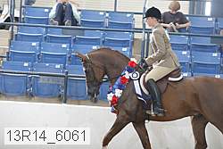 13r14_6061 proof