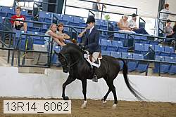 13r14_6062 proof