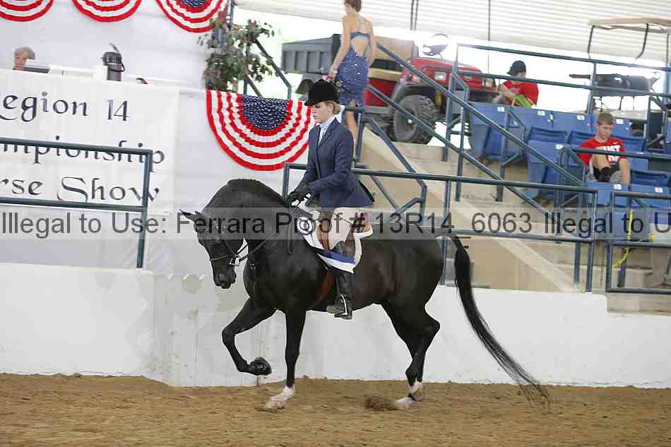 Proof 13r14_6063