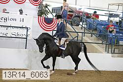 13r14_6063 proof