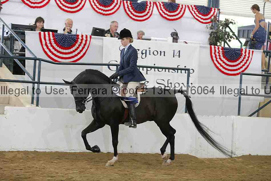Proof 13r14_6064