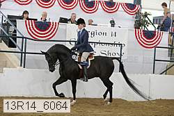 13r14_6064 proof