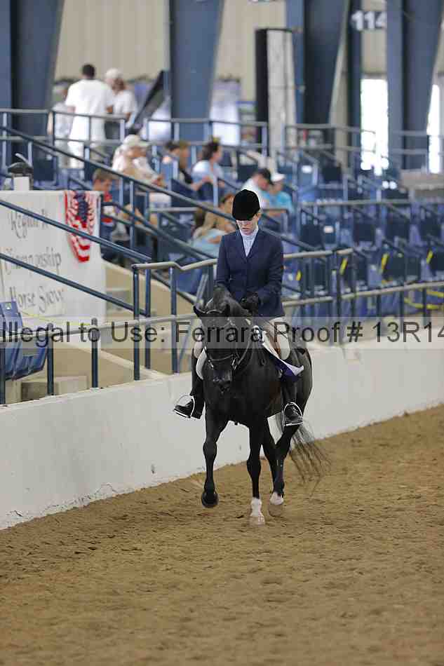 Proof 13r14_6066