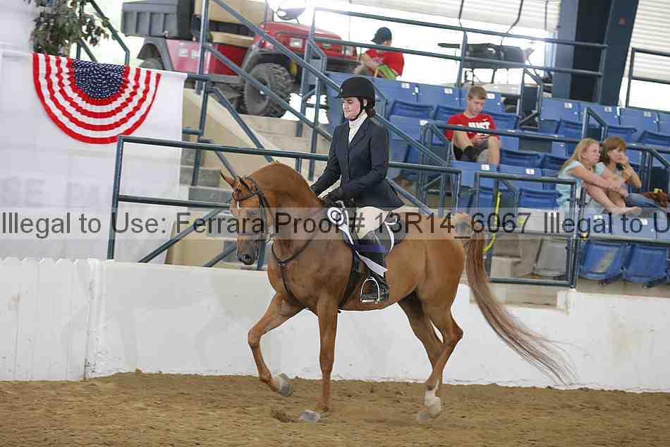 Proof 13r14_6067