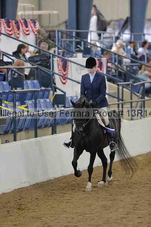 Proof 13r14_6068