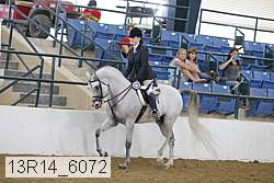13r14_6072 proof