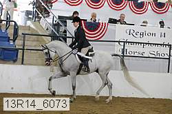 13r14_6073 proof