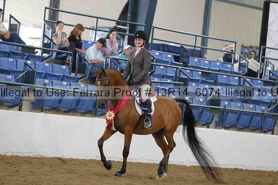 Proof 13r14_6074