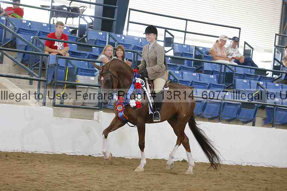 Proof 13r14_6077