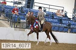 13r14_6077 proof