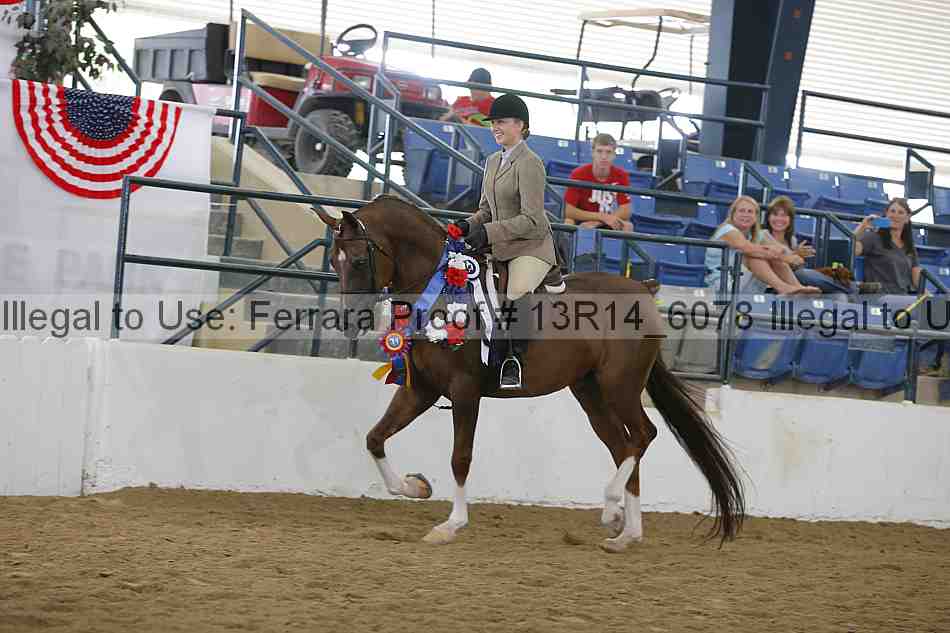 Proof 13r14_6078
