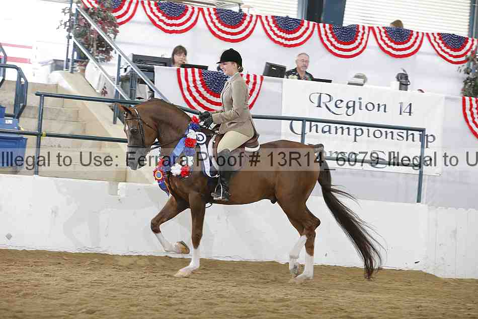 Proof 13r14_6079