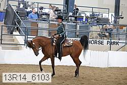 13r14_6103 proof
