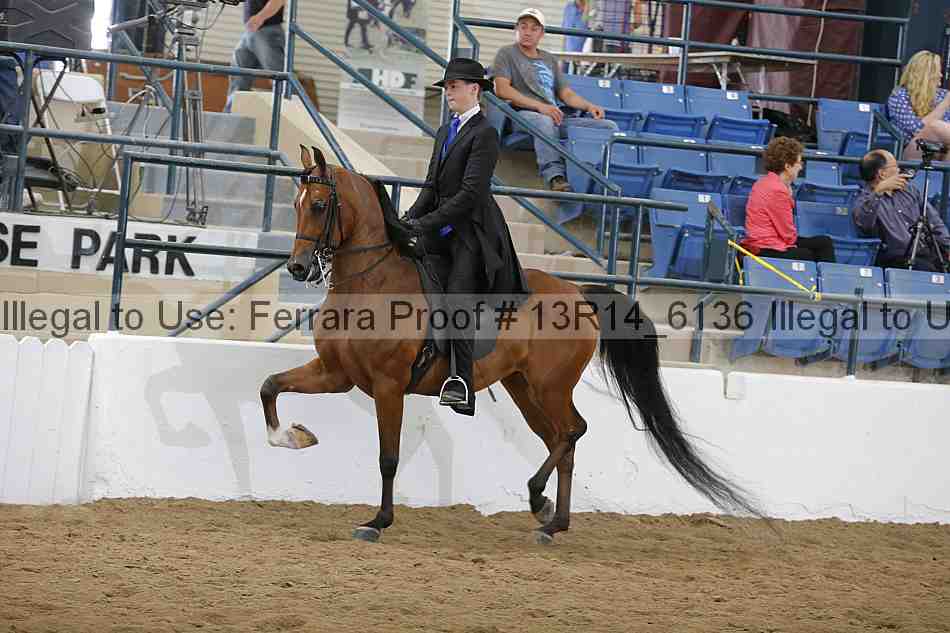 Proof 13r14_6136
